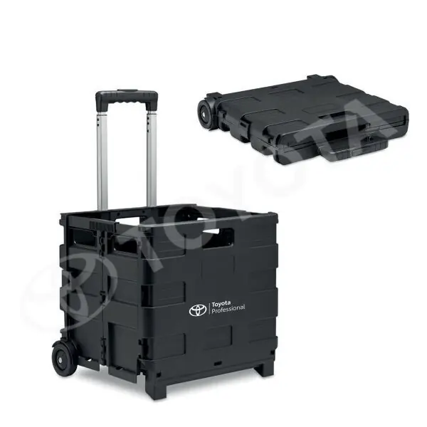 Skrzynka bagażowa Popularny