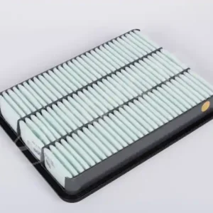 Wkład filtra powietrza Popularny