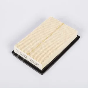 Wkład filtra powietrza Darmowa dostawa