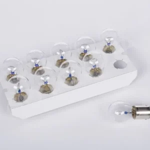 Autentyczny Żarówka