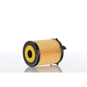 Ekspresowa dostawa Wkład filtra oleju PZL Sędziszów WO15-22X