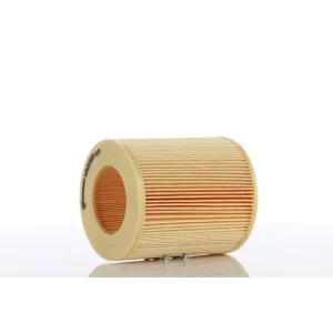 Zamów teraz Wkład filtra powietrza PZL Sędziszów WA20-165