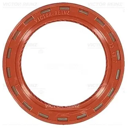 REINZ Pierscień uszczelniający wału, wałek rozrządu 81-24909-10 Kup teraz