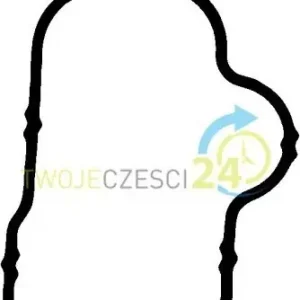 Zamów teraz AJUSA Uszczelka, kolektor dolotowy 13212500