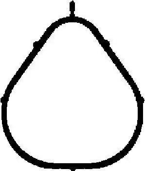 CORTECO Uszczelka, kolektor dolotowy 450262P Nowość