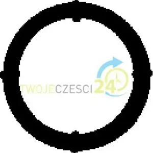 AJUSA Uszczelka, kolektor dolotowy 13198100 Darmowa dostawa