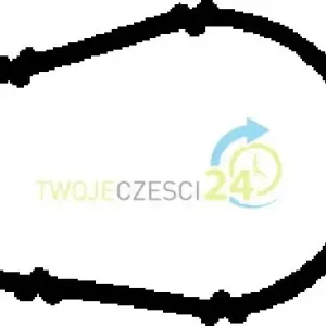 Autentyczny AJUSA Uszczelka, kolektor dolotowy 13165600