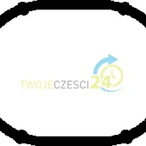 AJUSA Uszczelka, kolektor dolotowy 13163800 Wyprzedaż