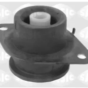 SASIC Uchwyt, zawieszenie silnika 2704019 Zamów teraz