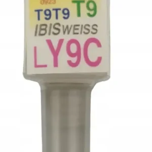 Zaprawka do rys 10ml AUDI VW SEAT Y9C LY9C T9 IBIS WEISS Promocja