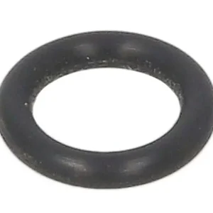 O-RING 1.24058 Szybka dostawa