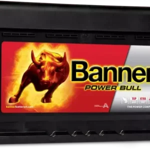 Najlepsza cena Banner Power Bull 74Ah 680A P+ P7412